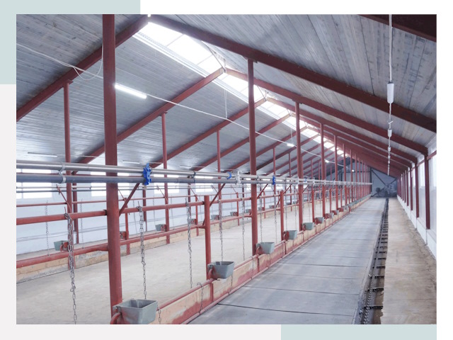 Строительство коровников в Кызыле от 622 руб.