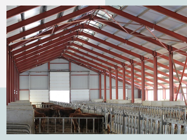 Строительство коровников в Кызыле