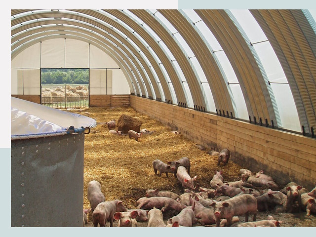 Строительство свинарников в Кызыле